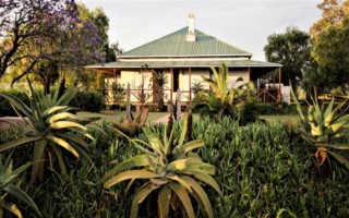 Carnarvon Dale [320x200]